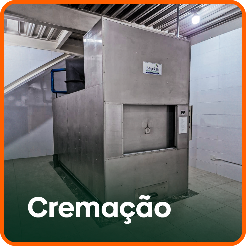 Cremação